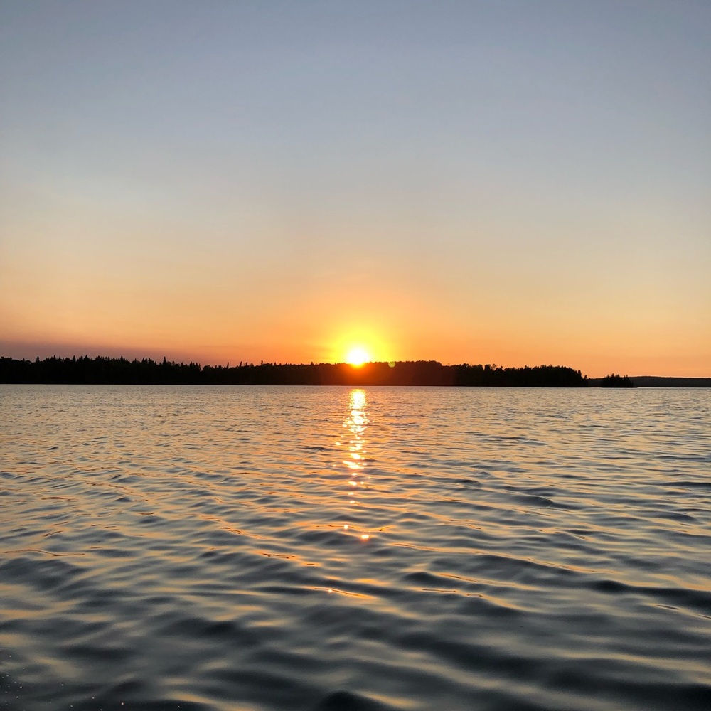 Meet your Posher, Bailey